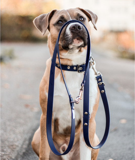 Hundeleine verstellbar aus BioThane® dunkelblau amstaff