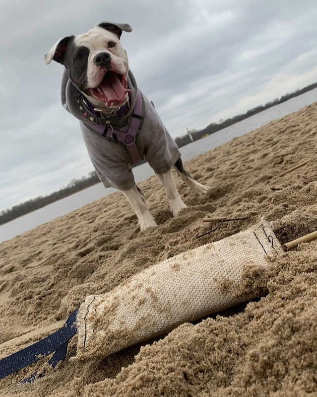 Hundespielzeug Zerrspielzeug Heavy aus recyceltem Feuerwehrschlauch