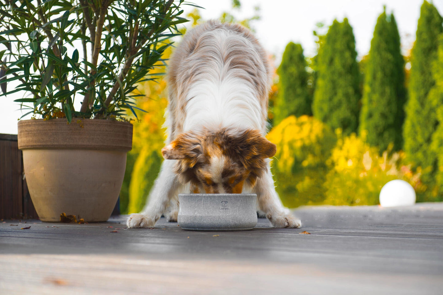 Hundenapf Rocky aus Speckstein von Laboni selbstkühlend Hund BALUmanufaktur